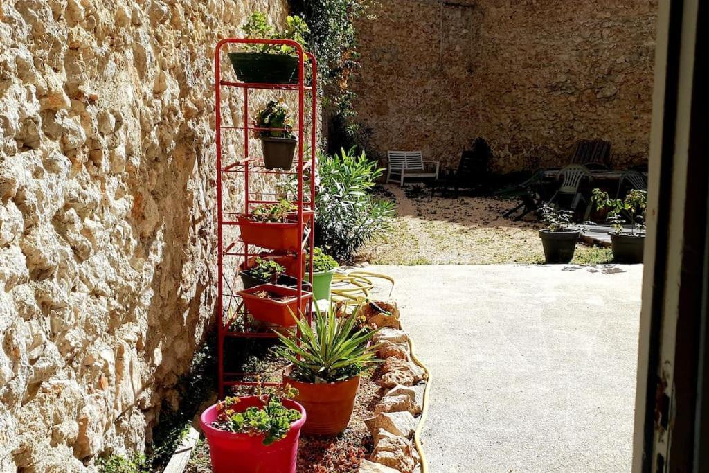 La Perle Rare - Centre-Ville Sète Dış mekan fotoğraf